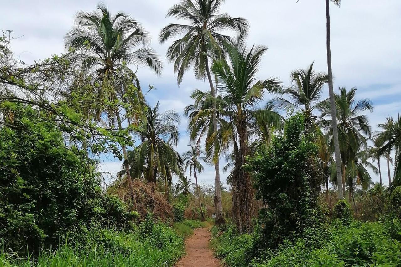 מלון Puerto Caracol איסלה מוקורה מראה חיצוני תמונה